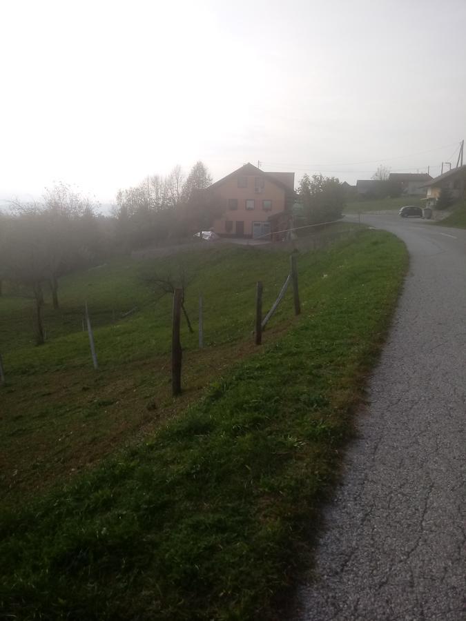 Bed&Breakfast Zilje Vinica Exterior foto